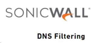 Dns Filtering Service - For  - Nsv 4700 - 4 Years