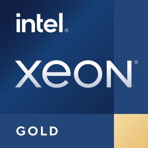 Xeon Processor Gold 6330h 2.0GHz 33MB Cache