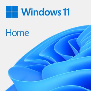 Windows 11 Home 64bit - 1 Lic - Win - French - USB Stick