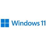 Windows 11 Home N 64bit - 1 Lic - Win - English International - USB Stick