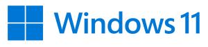 Windows 11 Pro 64bit - 1 Lic - Win - French - USB Stick