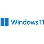 Windows 11 Pro N 64bit - 1 Lic - Win - English Intl - USB Stick