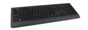 Professional Wireless Keyboard - Qwerty US