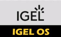 Igel Essential Select - Migration License - 1 - 99 Users - 1 Year